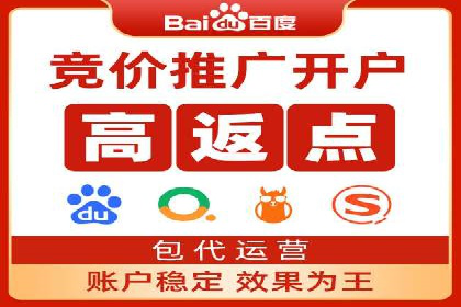 SEM代理案例：从零到一，见证品牌崛起